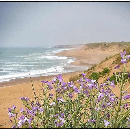 Le Temps D'une Pause - 350m De La Grande * Les Sables-d'Olonne